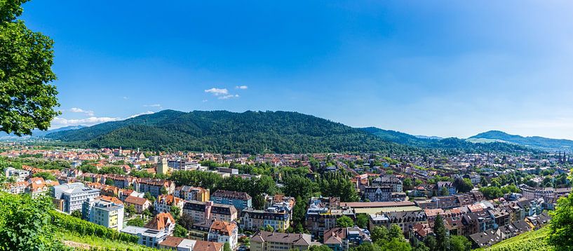 Deutschland, XXL-Panorama von Freiburg im Breisgau von adventure-photos