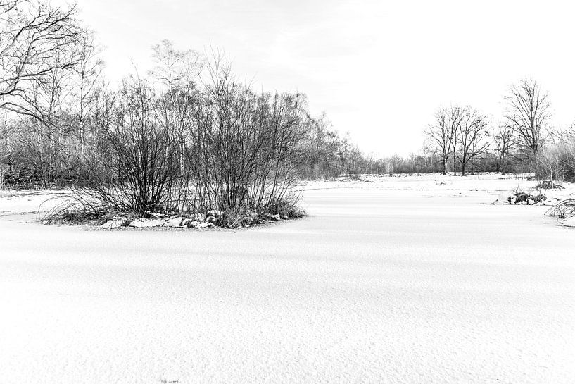 Winter landscape from Twente, Holland in black and white by Ratna Bosch