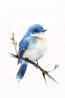 Aquarell Berghüttensänger