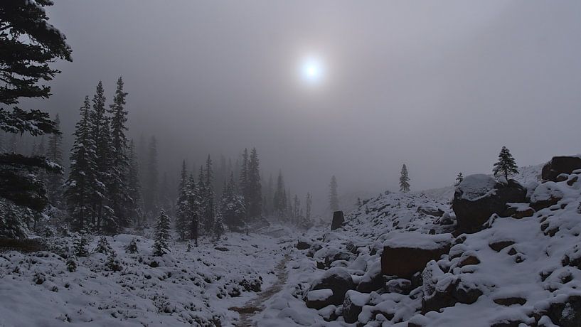 Brouillard hivernal par Timon Schneider