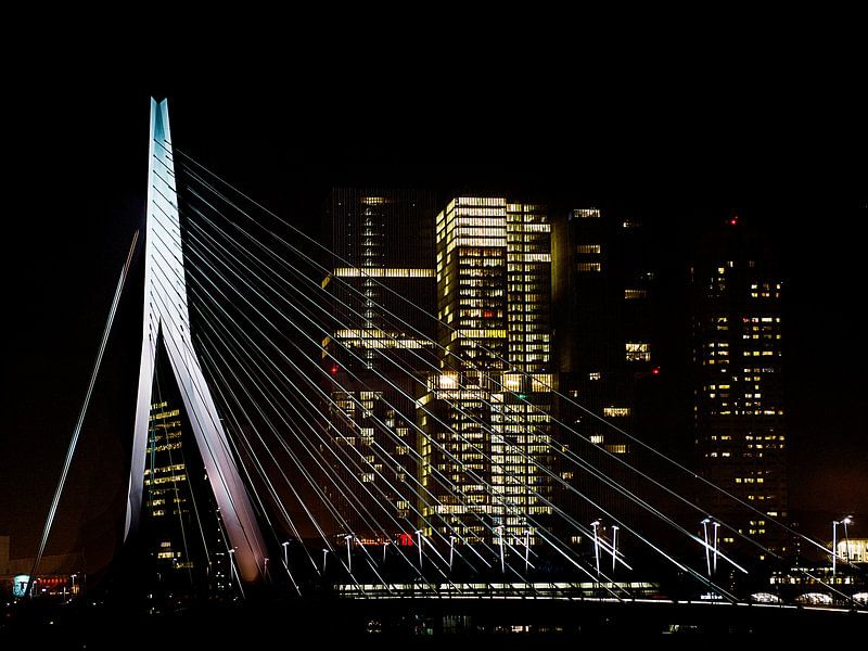 Rotterdam bei Nacht von Mario de Lijser