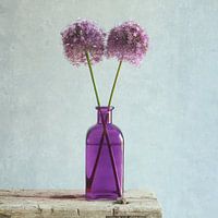 Allium - in violetter Flasche