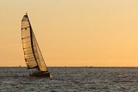 Sich näherndes Boot im Hafen von IJmuiden