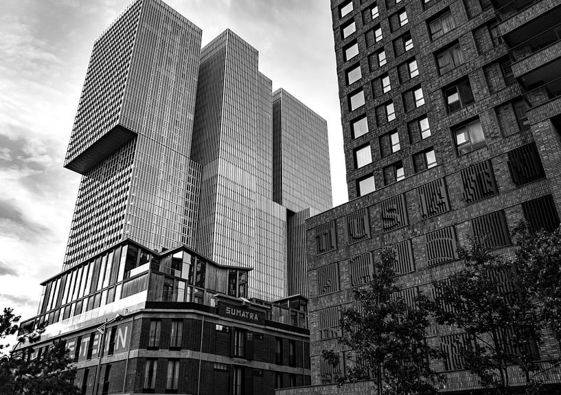 Rotterdam head of south in black and white by By Marjolein Design