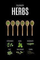 Herbs Kitchen Poster Schwarz