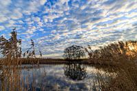 Réflexion du lever du soleil dans le Weerribben
