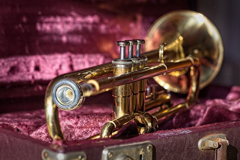 Trompete von Rob Boon