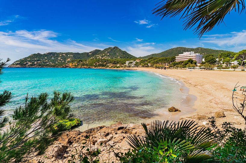 Sandstrand in Canyamel, Küste der Insel Mallorca, Spanien Mittelmeer von Alex Winter