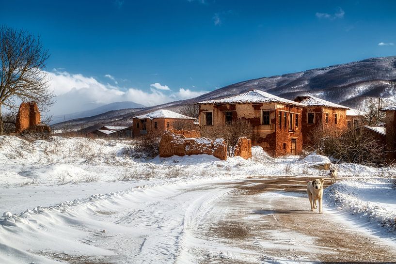 Verlassene Häuser in Kranionas, Kastoria. Griechenland von Konstantinos Lagos
