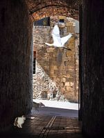 Surrealistische Straße