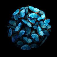 Morphogenetisch: Blau I