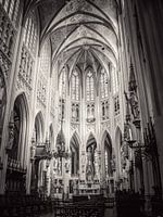Johanniskathedrale Den Bosch 's-Hertogenbosch