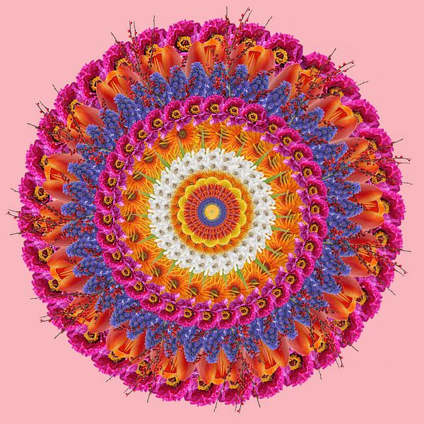 Mandala rosa von Klaartje Majoor
