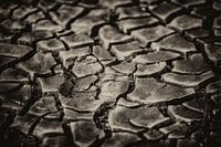 Ausgetrockneter Schlamm / Boden 