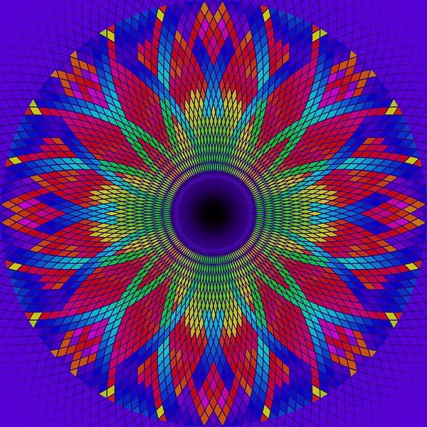 Echoblume von Henk Schellekens