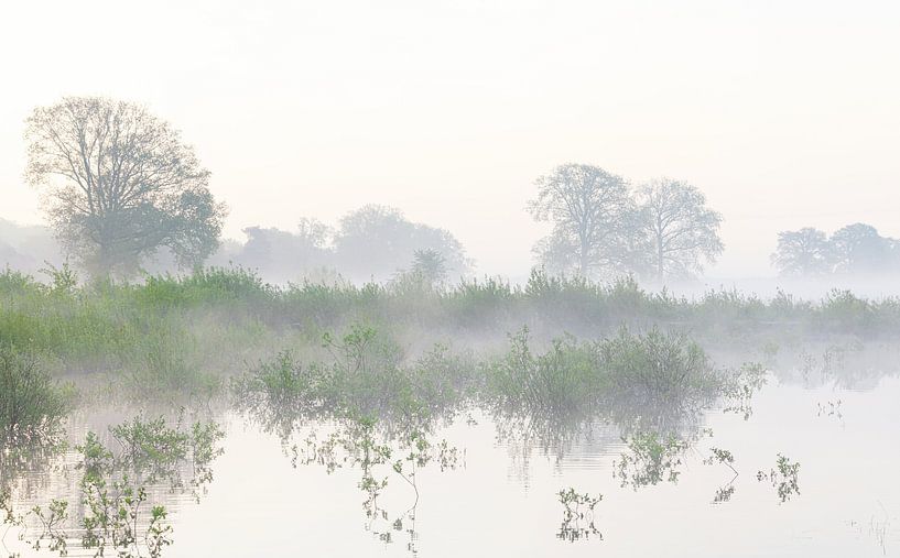 Lever de soleil Dwingelderveld (Pays-Bas) par Marcel Kerdijk