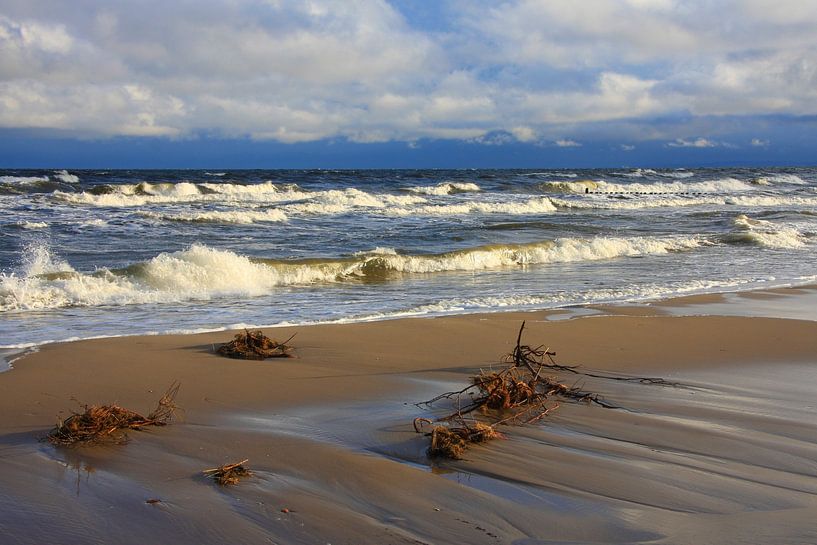 Baltic Sea beach by Marcel Schauer