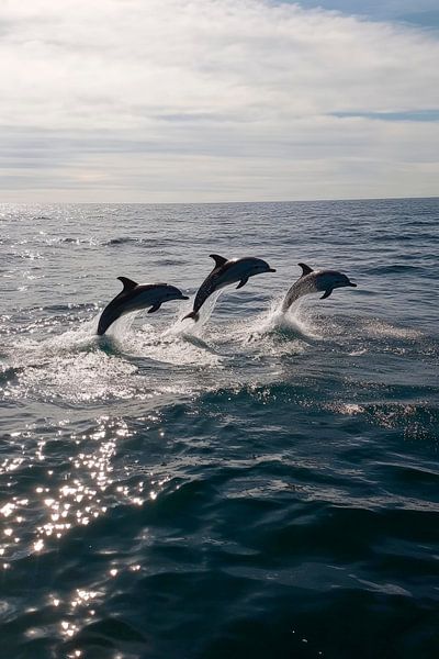 Springende Delfine im Ozean von Poster Art Shop