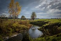 Ruisseau Tungelroysis