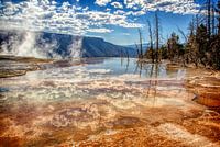 Yellowstone National Park