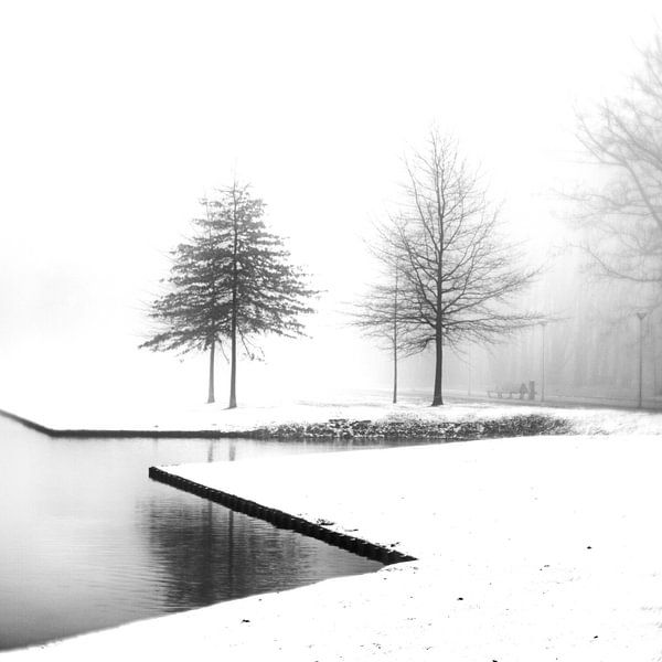 Fog and snow by Pieter van Roijen