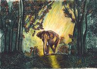 Elephant in forest
