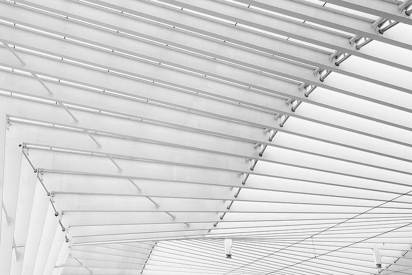 Bahnhof von Reggio Emilia in Italien von Architekt Santiago Calatrava von Truus Nijland