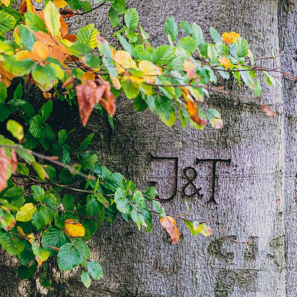 22 Autumn J&amp;T by Rob van der Pijll