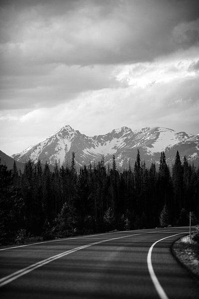 Waldweg mit Aussicht von Walljar
