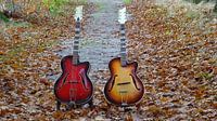 Gitaren van Hans Schot in het bos in de herfst