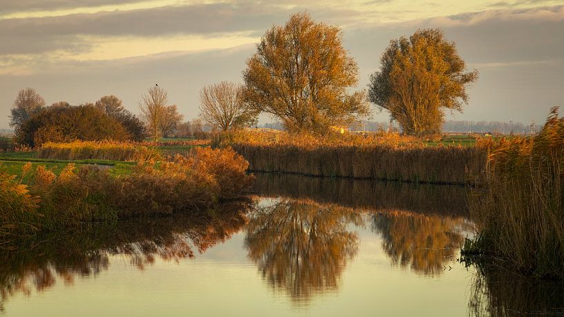 Sunrise at the Westerwijtwerdermaar by Ron Buist