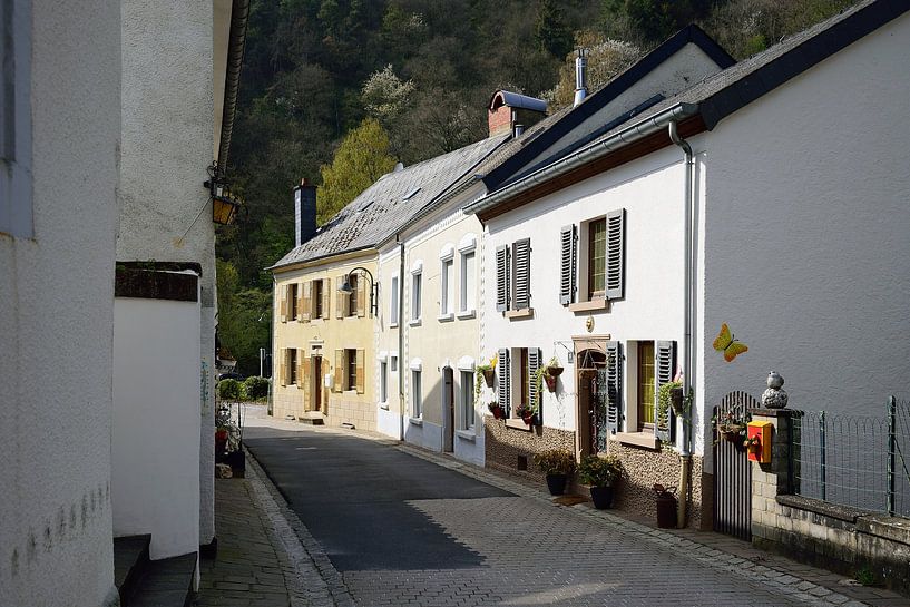 Sonnige Straße von Frank's Awesome Travels