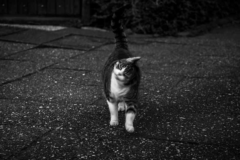 Strangely familiar 10 by Eva Overbeeke