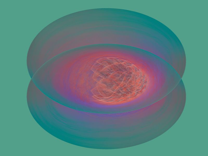 Das Leben in einem Ei von Bernardine de Laat