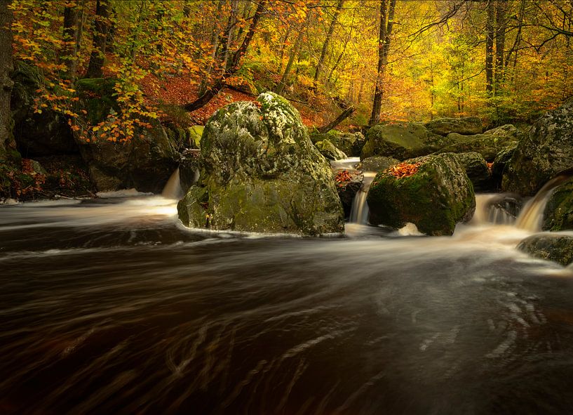 Herbst am Fluss La Hoegne im Hochmoor der Ardennen. von Jos Pannekoek