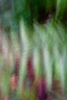 Photographie abstraite