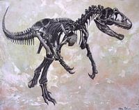 Allosaurus-Skelett