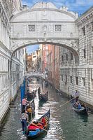 Gondolier in front of the Bridge of Sighs in Venice