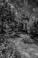 auf dem Friedhof in Frankfurt