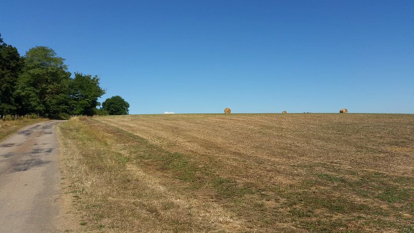 Hooirollen von Henk Rabbers