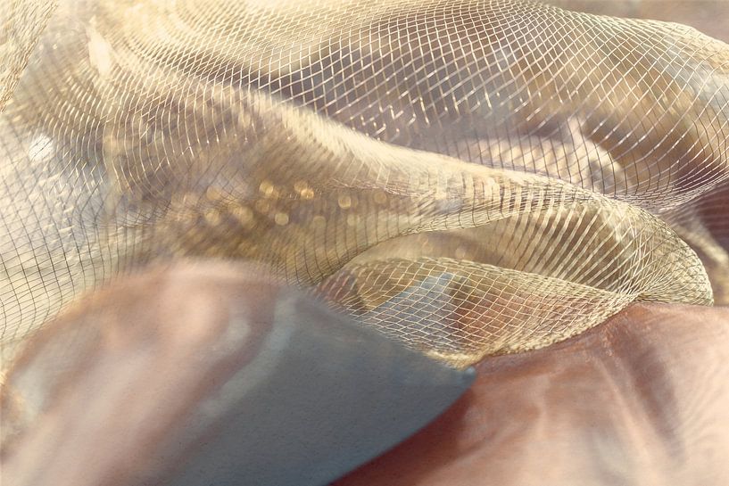 Netz im Licht – Struktur und Weichheit in warmem Ton von Mixed media vector arts