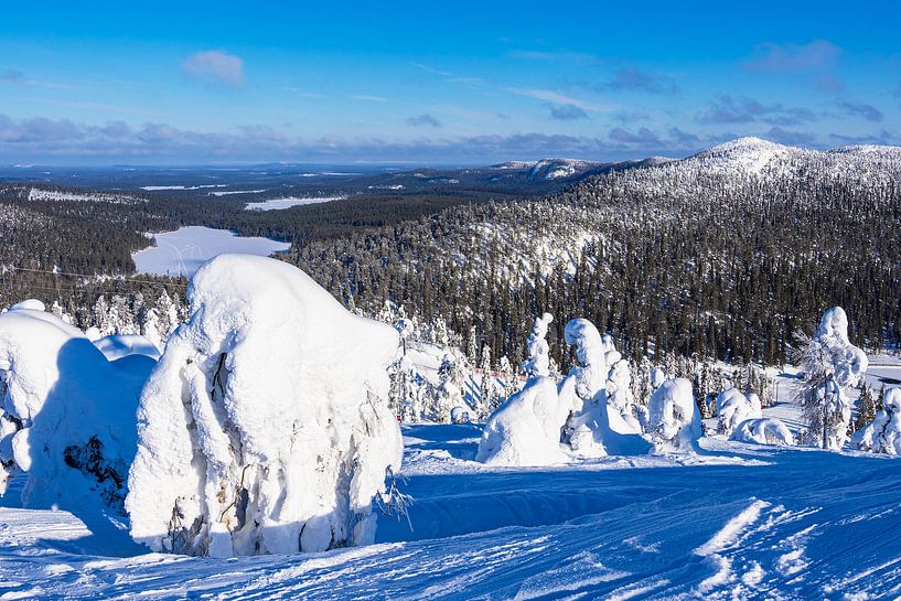 Landschaft mit Schnee und Bäumen im Winter in Ruka, Finnland von Rico Ködder