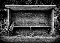 Dug-out van steen met onkruid