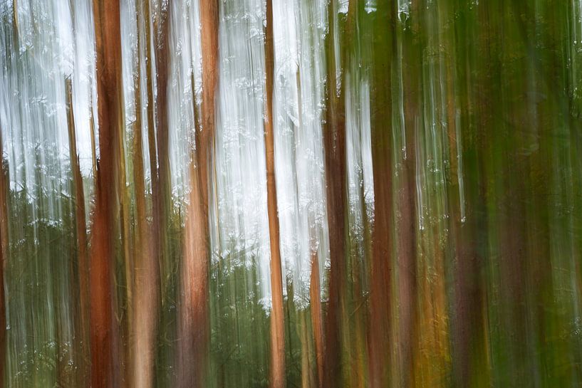 Wandernder Wald von Co Bliekendaal