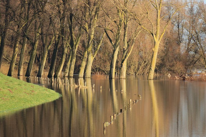 Hoog water ijssel rivier. Zen, rust van Bobsphotography