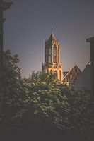Evening light on the belfry (Domtoren, Utrecht)