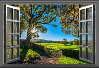 Windows different versions