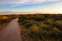 Le chemin des couleurs