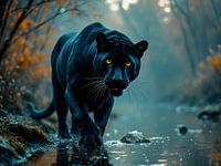 Schatten der Wildnis