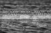 Abstrakte Eisbildung auf Stacheldraht